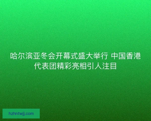 哈尔滨亚冬会开幕式盛大举行 中国香港代表团精彩亮相引人注目