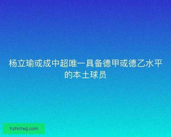 杨立瑜或成中超唯一具备德甲或德乙水平的本土球员